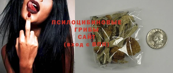 прущие грибы Алзамай