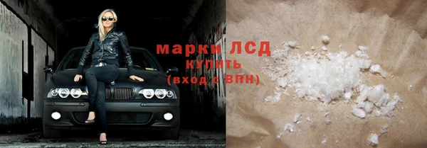 прущие грибы Алзамай