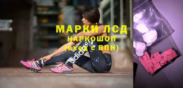 прущие грибы Алзамай