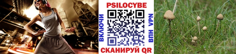 хочу   Саров  Галлюциногенные грибы мицелий 